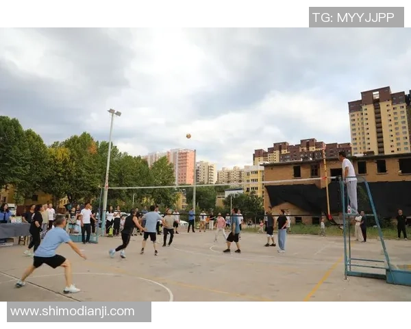 成都排球队团队协作变革引发热议推动排球运动新发展