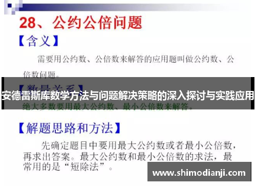 安德雷斯库数学方法与问题解决策略的深入探讨与实践应用